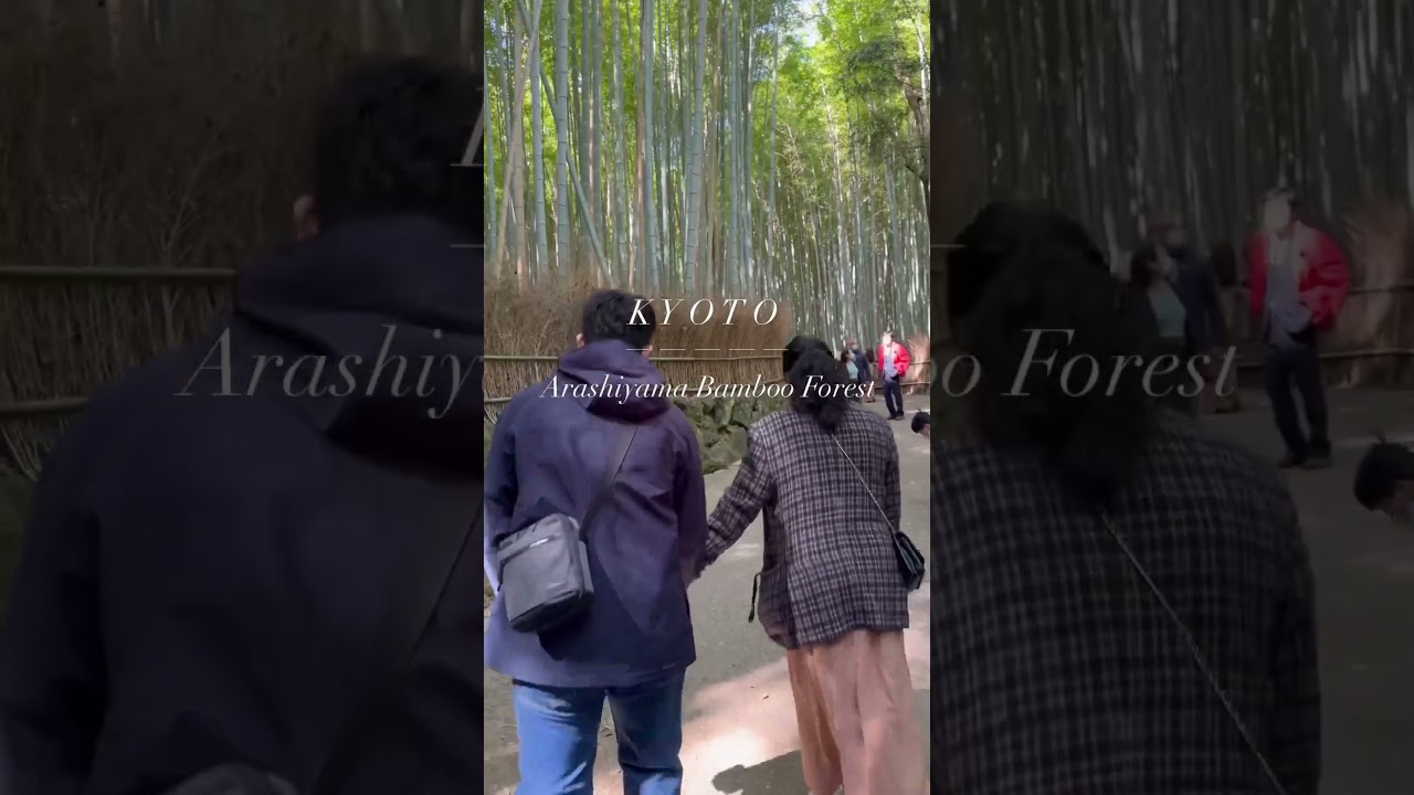📍 Arashiyama Bamboo Forest 