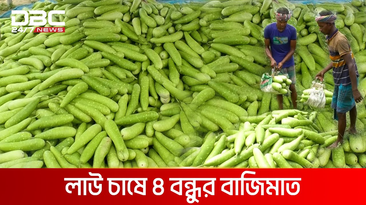৪ বন্ধুর ৩০ লাখ টাকার লাউ | DCB NEWS Special