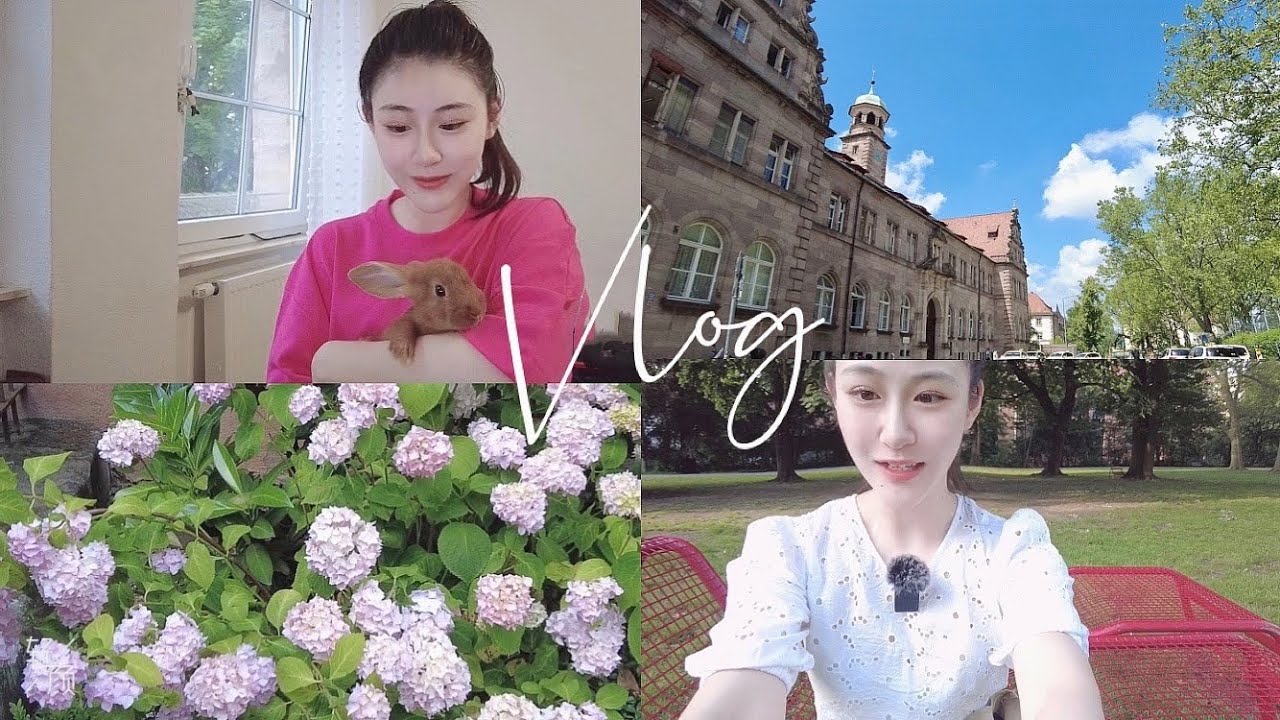 德国打工人｜居家办公+打辉瑞疫苗的一天｜夏天真的太美啦