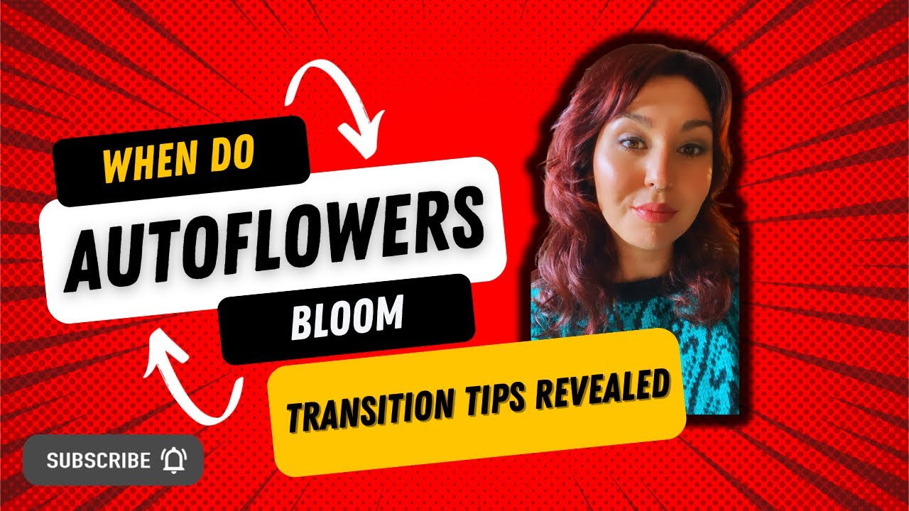 When Do Autoflowers Bloom: Essential Transition Tips Revealed