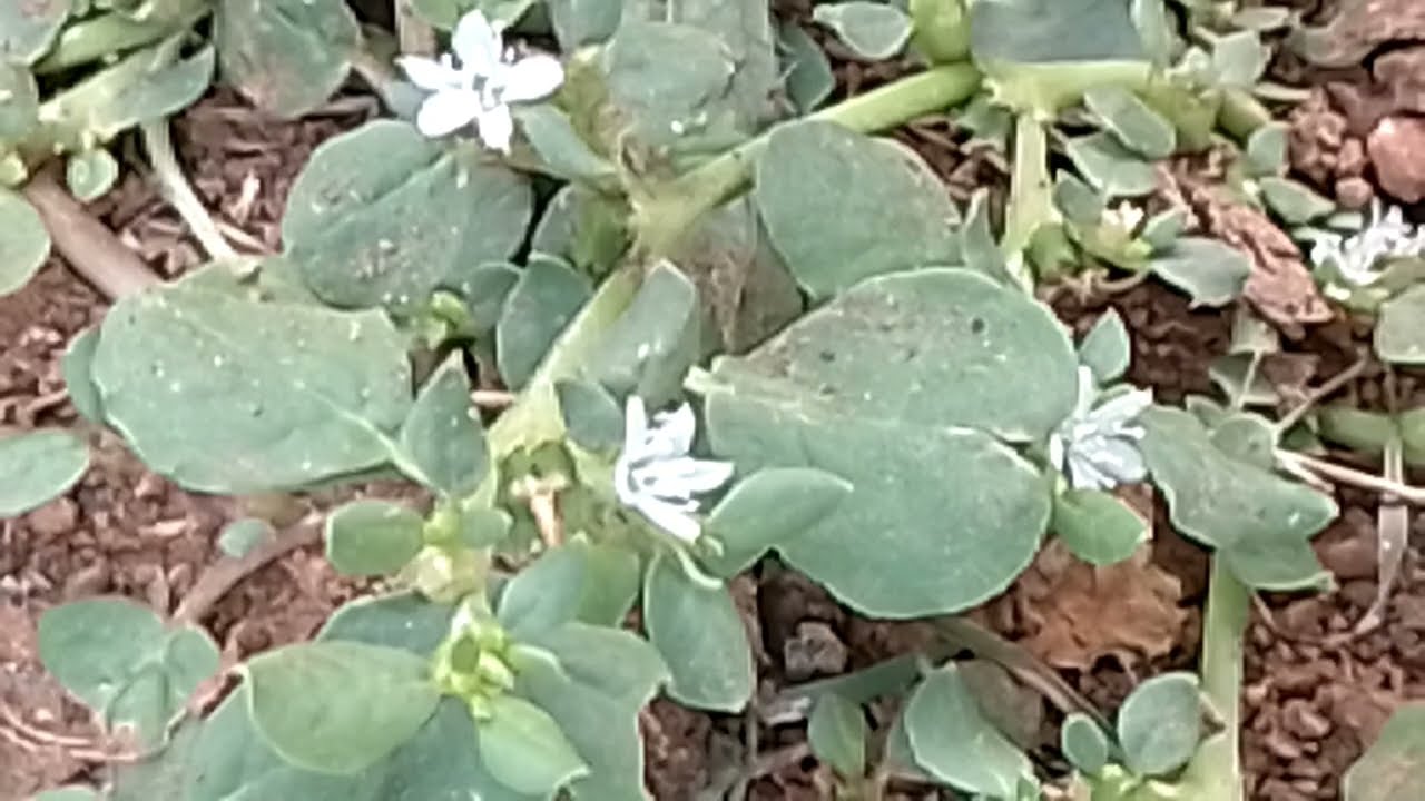 ஜானு தன் மகளை பார்த்த அதிர்ச்சியில் நடந்தது என்ன 16 பிப்