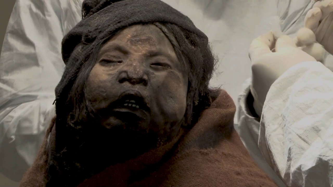 Laboratorio de Crioconservación del Museo de Arqueología de Alta Montaña - MAAM (Salta, Argentina)