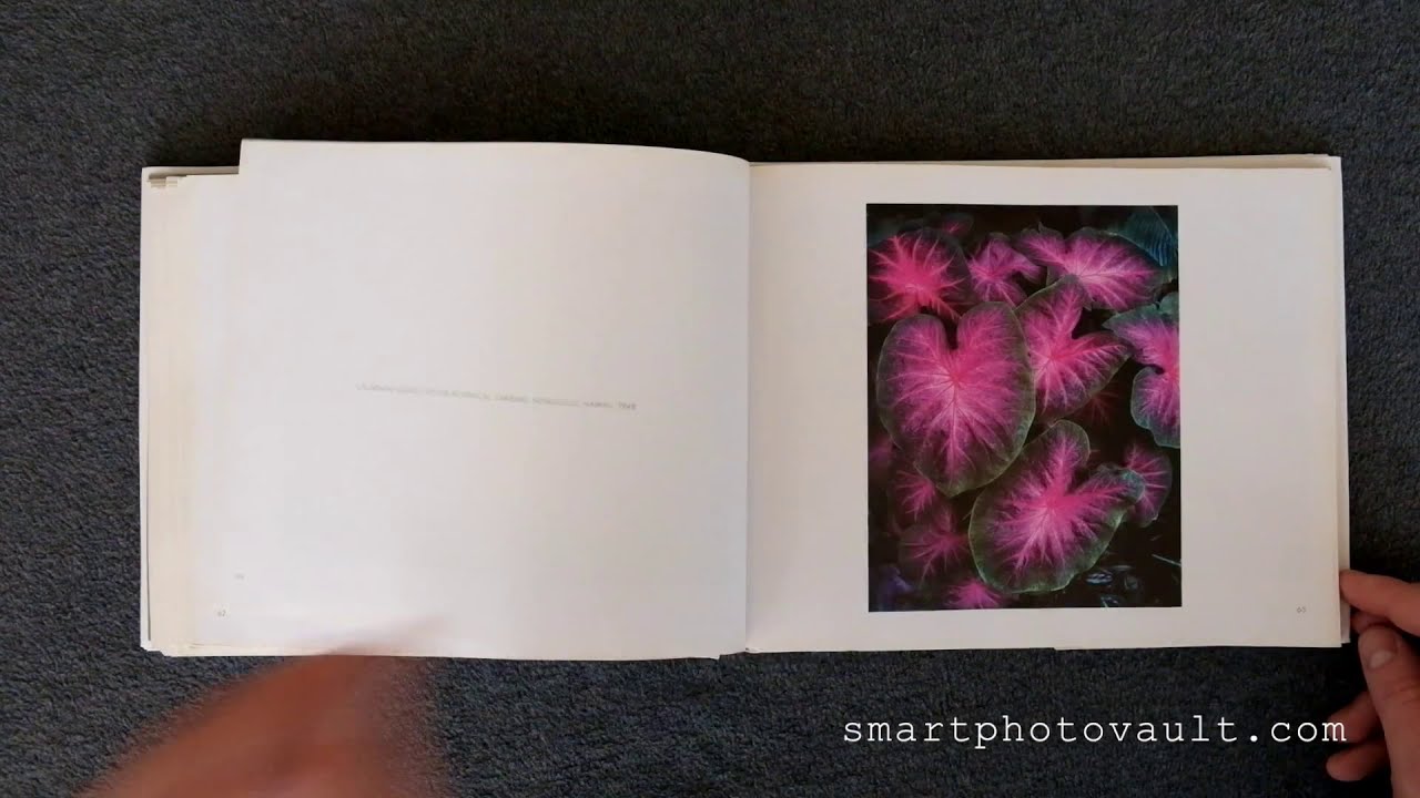 Ansel Adams: In Color Book [Master Landscape Photographer]