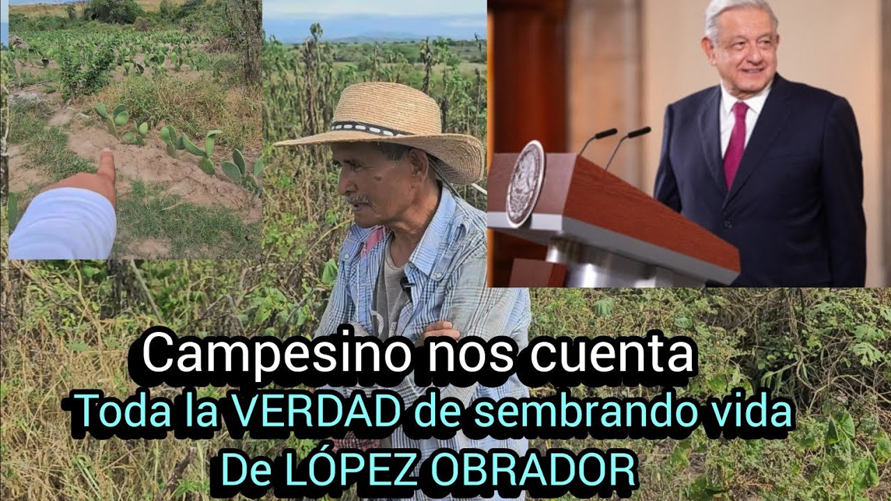 DESPUES DE CUATRO AÑOS DEL PROGRAMA DEL PRESIDENTE LÓPEZ OBRADOR ESTE CAMPESINO CUENTA TODO