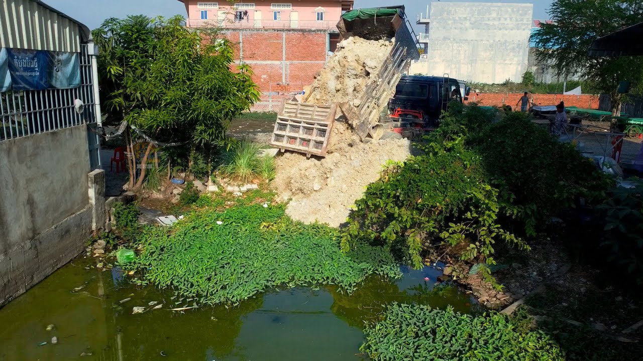 Completed 100%!!! Dozer D20A & Truck 5T Collaborate take project Pour dry soil​ on Flooded land
