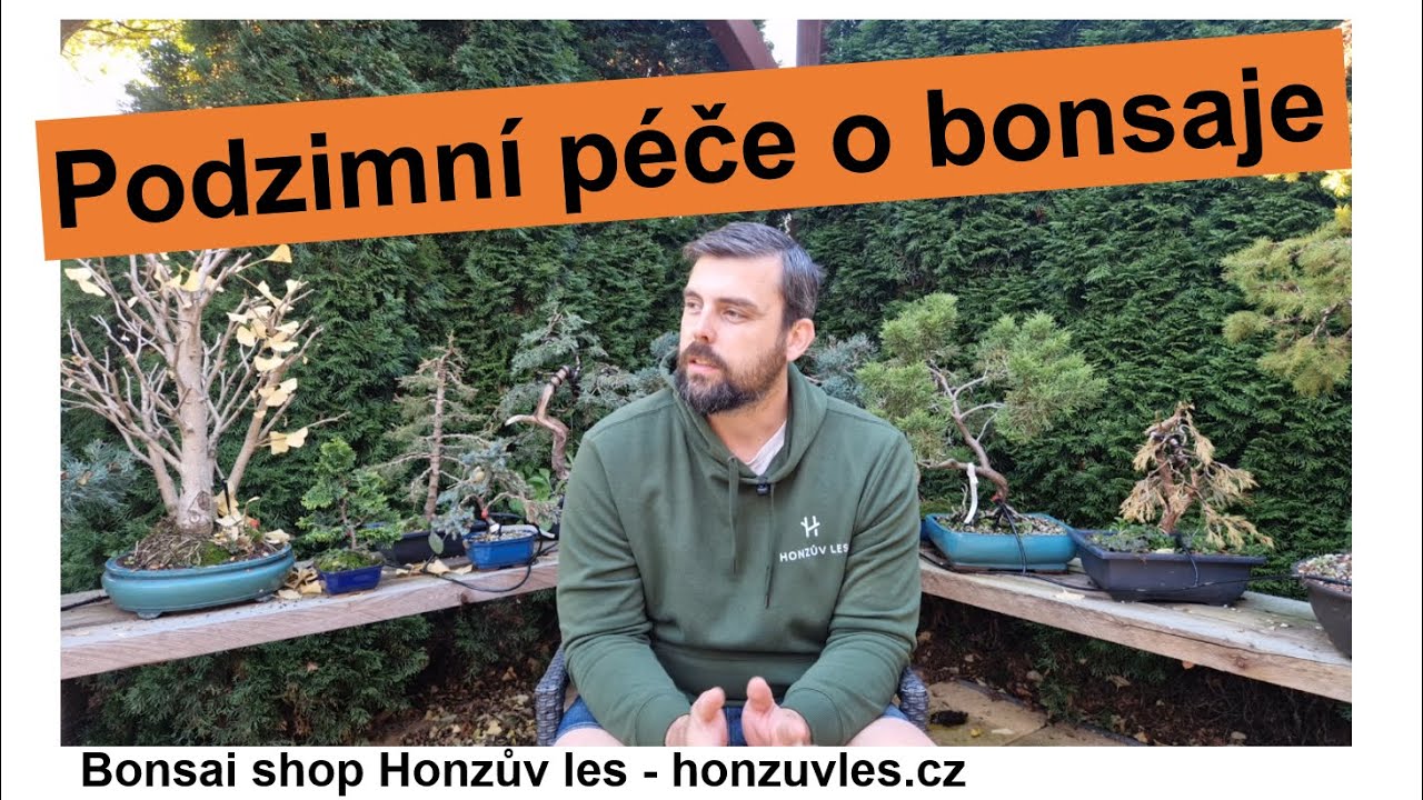 Podzimní péče o bonsaje