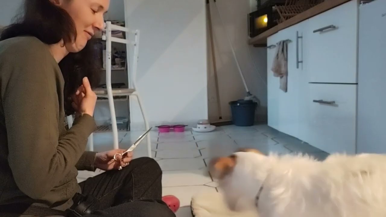 Vaya et les ciseaux 