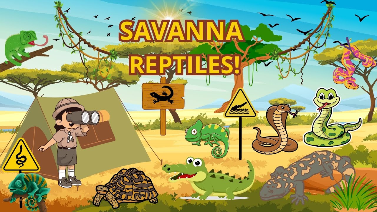 🎬 Reptiles of the African Savanna 🐊🐍 | Fun Learning Safari for Kids 🌅 |Real voices🔊