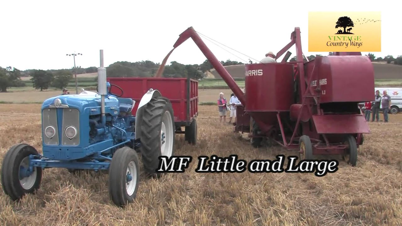 MF Little & Large.m2t