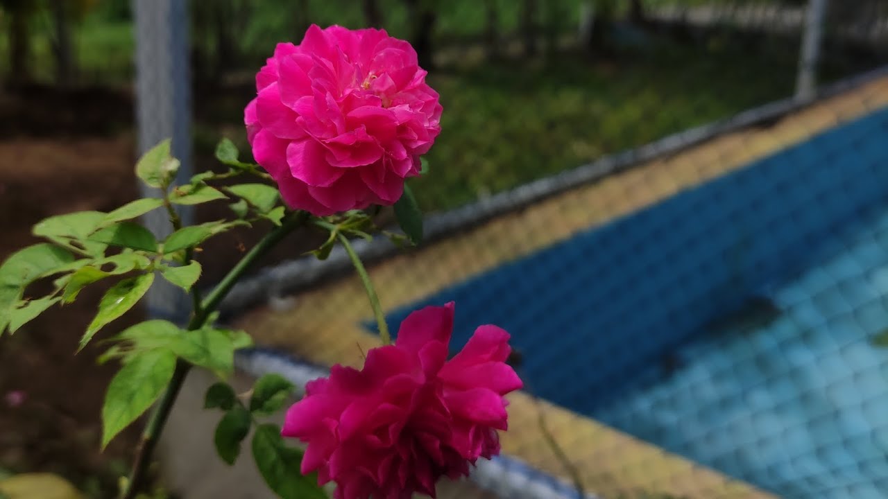 Berenang memang seruuuu