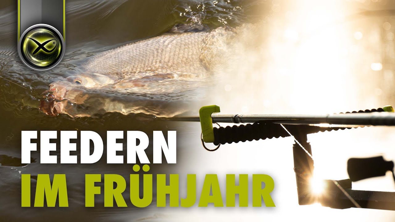 FEEDERN im FRÜHJAHR - Die Fische erwachen!