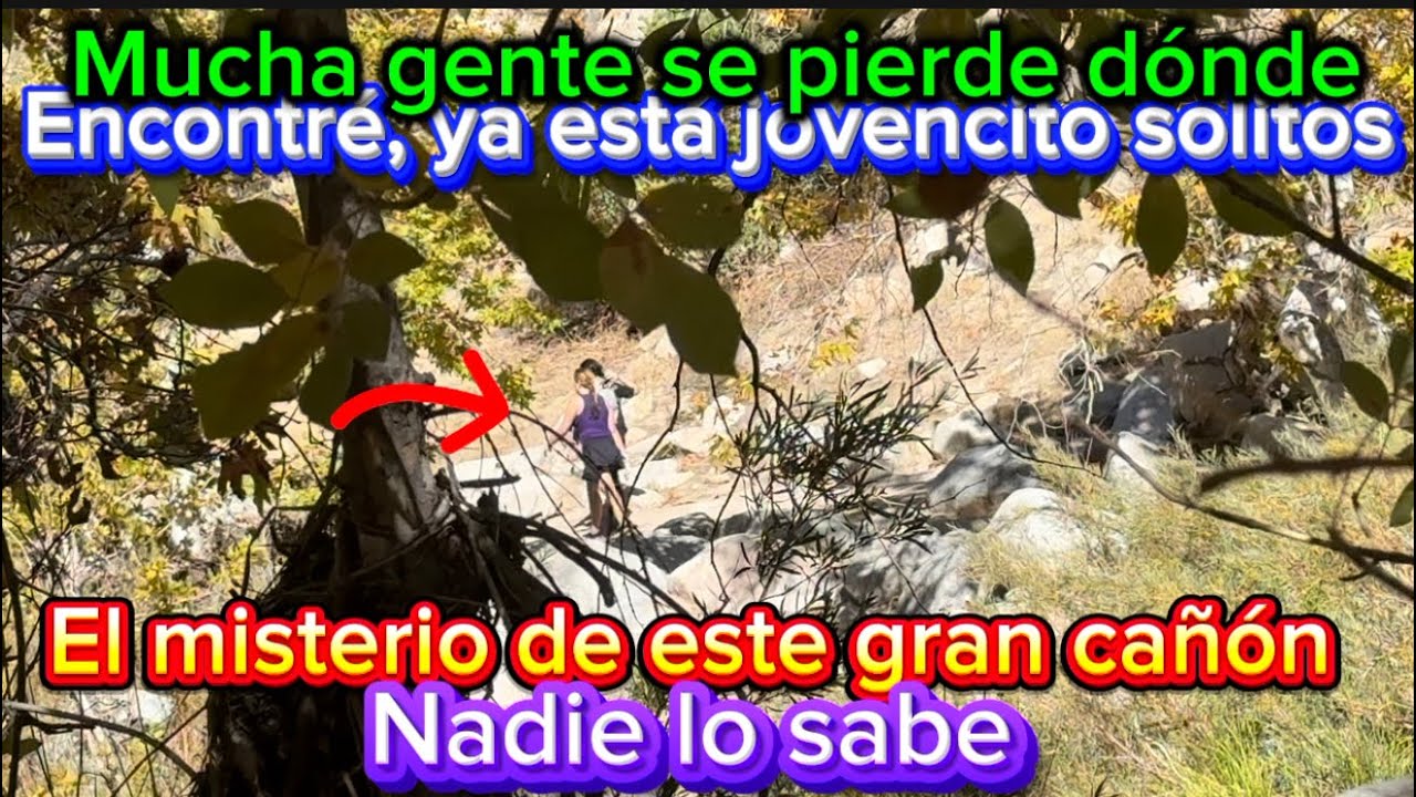 Si esta mujer supieran el lugar donde andan, no vuelven a venir este gran cañón, ￼