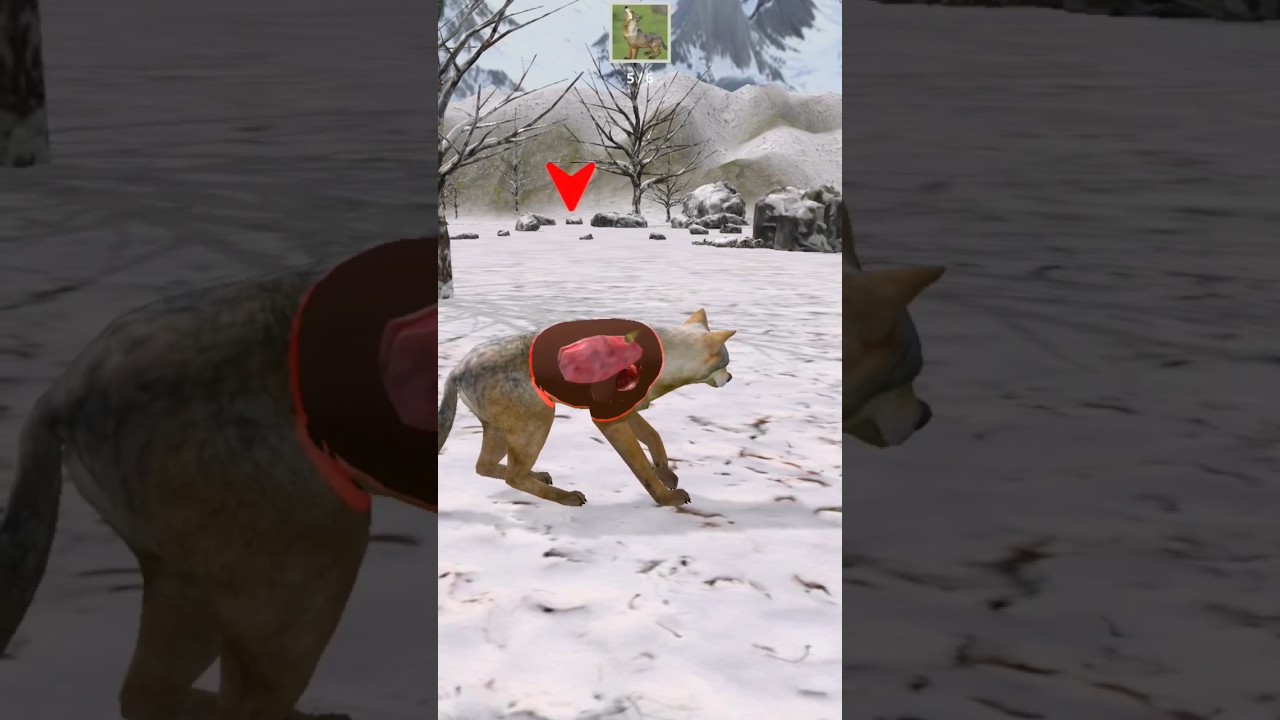 What A Dangerous Hunting #hunting #shoot