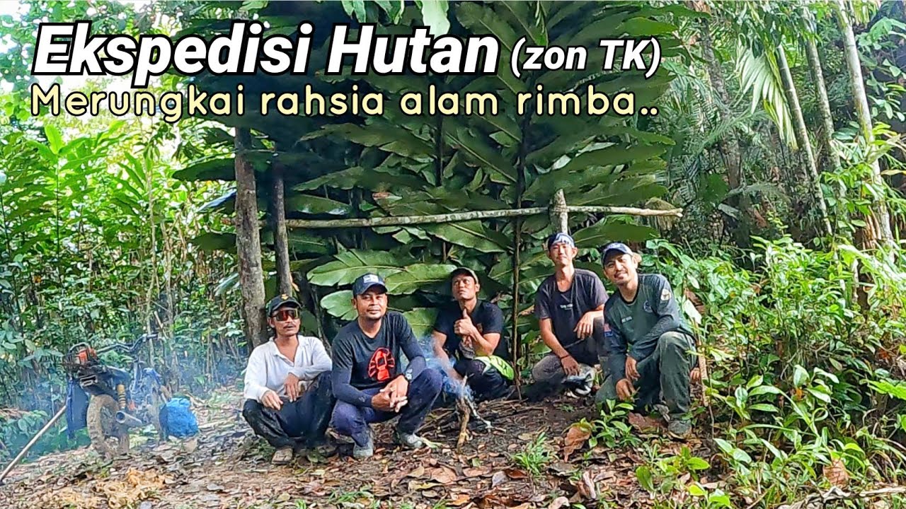 Dunia di sebalik air terjun dalam gua tersembunyi di tengah belantara.