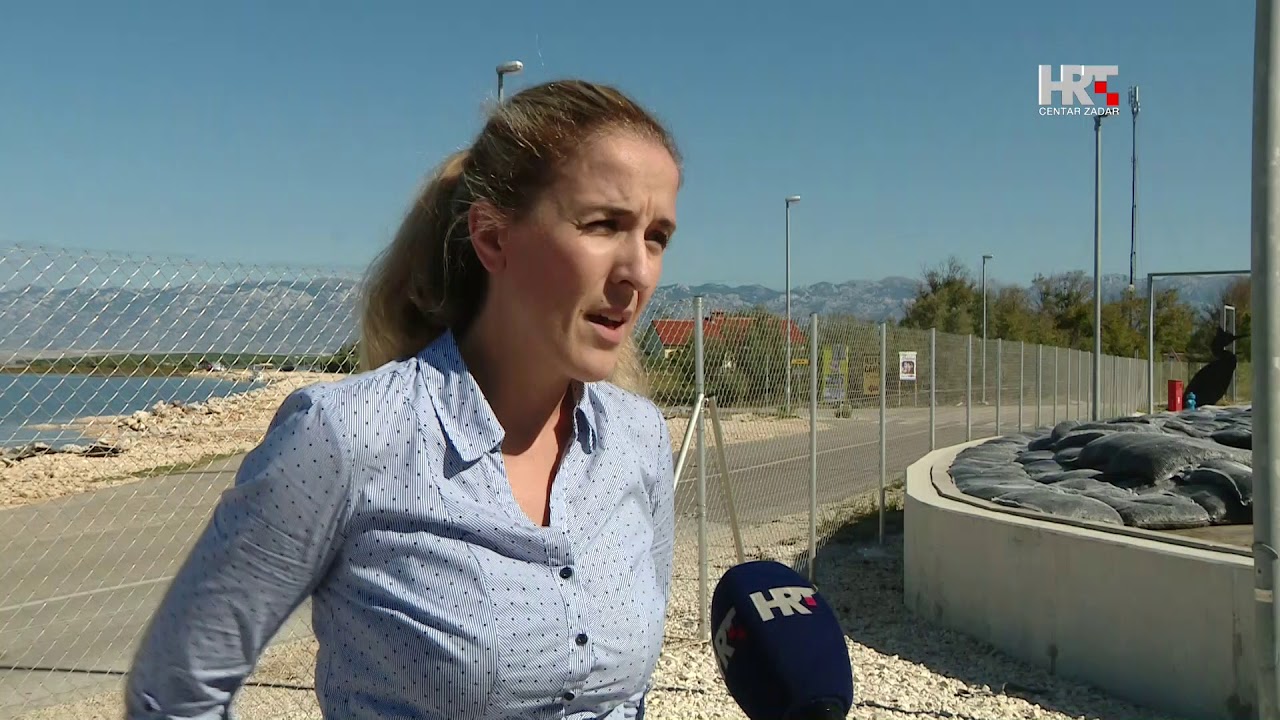 Cromaris preživio potop