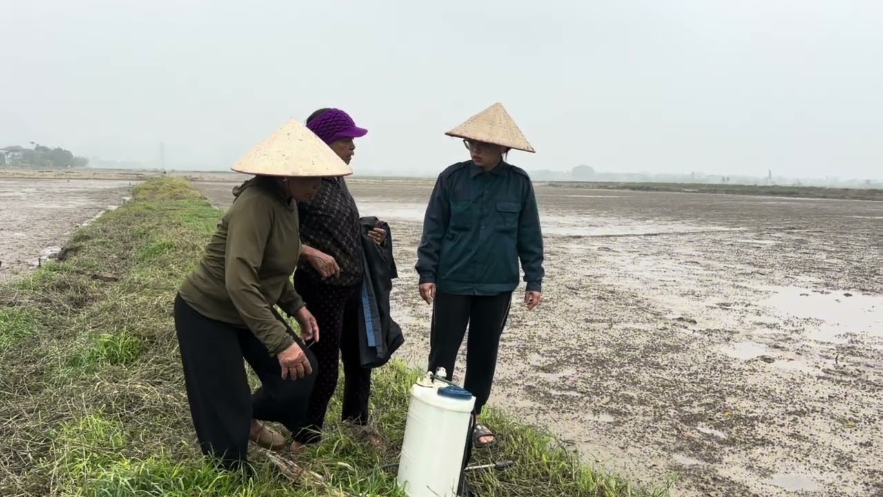 Thấy nhất nguyêt là mu hai mu lập rình mò đến nhờ gúp