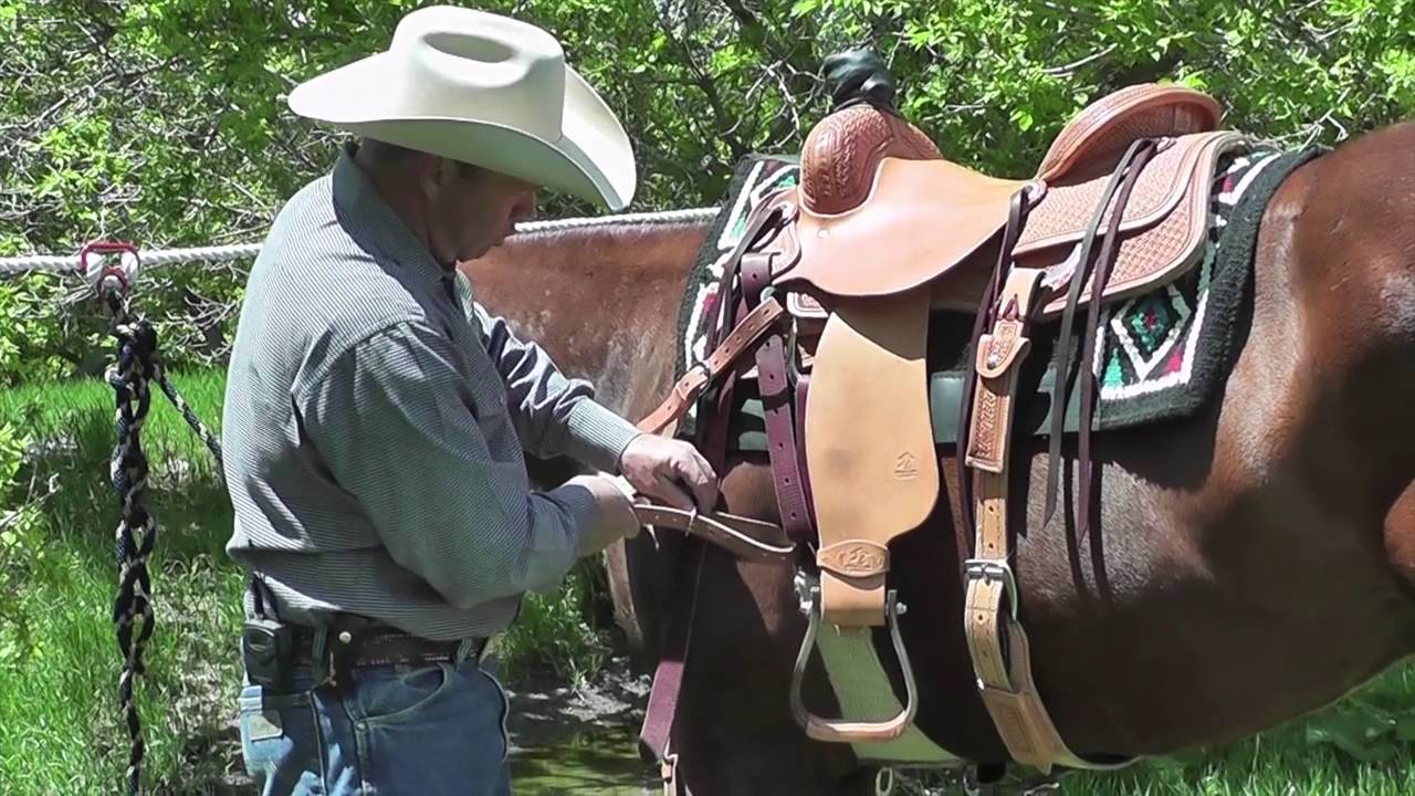 The Importance of a Breast Collar and When to Use