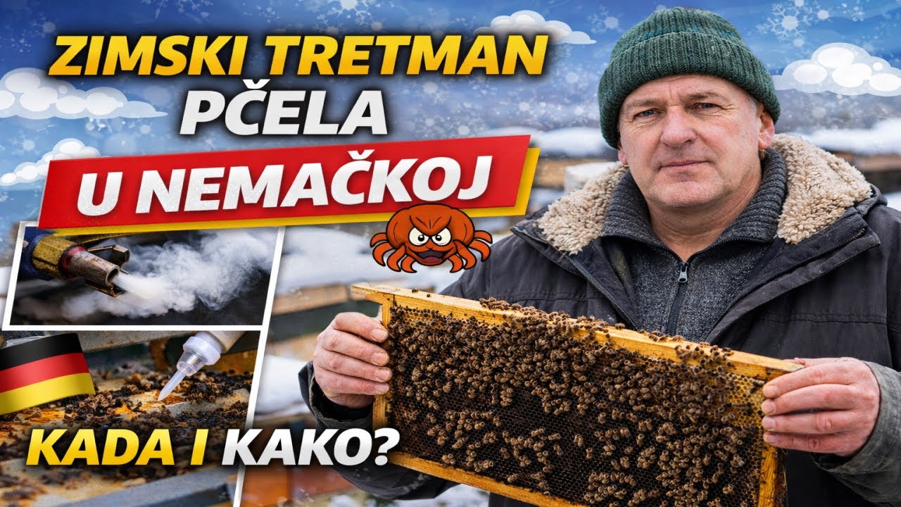 Zimski tretman pčela u Nemačkoj – kada i kako se tretira varoa