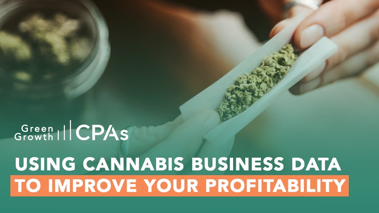 Using Cannabis Business Data to Improve Your Profitability