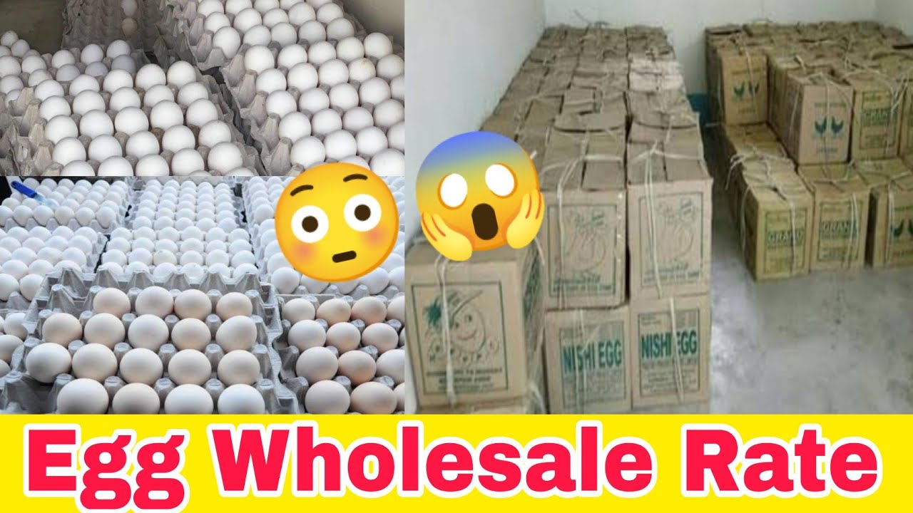 Egg wholesale price #अंडेकेभाव #egg #eggs #wholesale #wholesaleprice #wholesaler #grocery