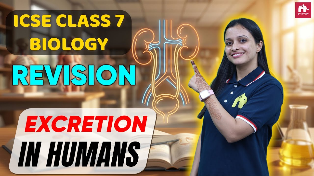 Excretion ICSE Class 7 Biology | Exam Revision