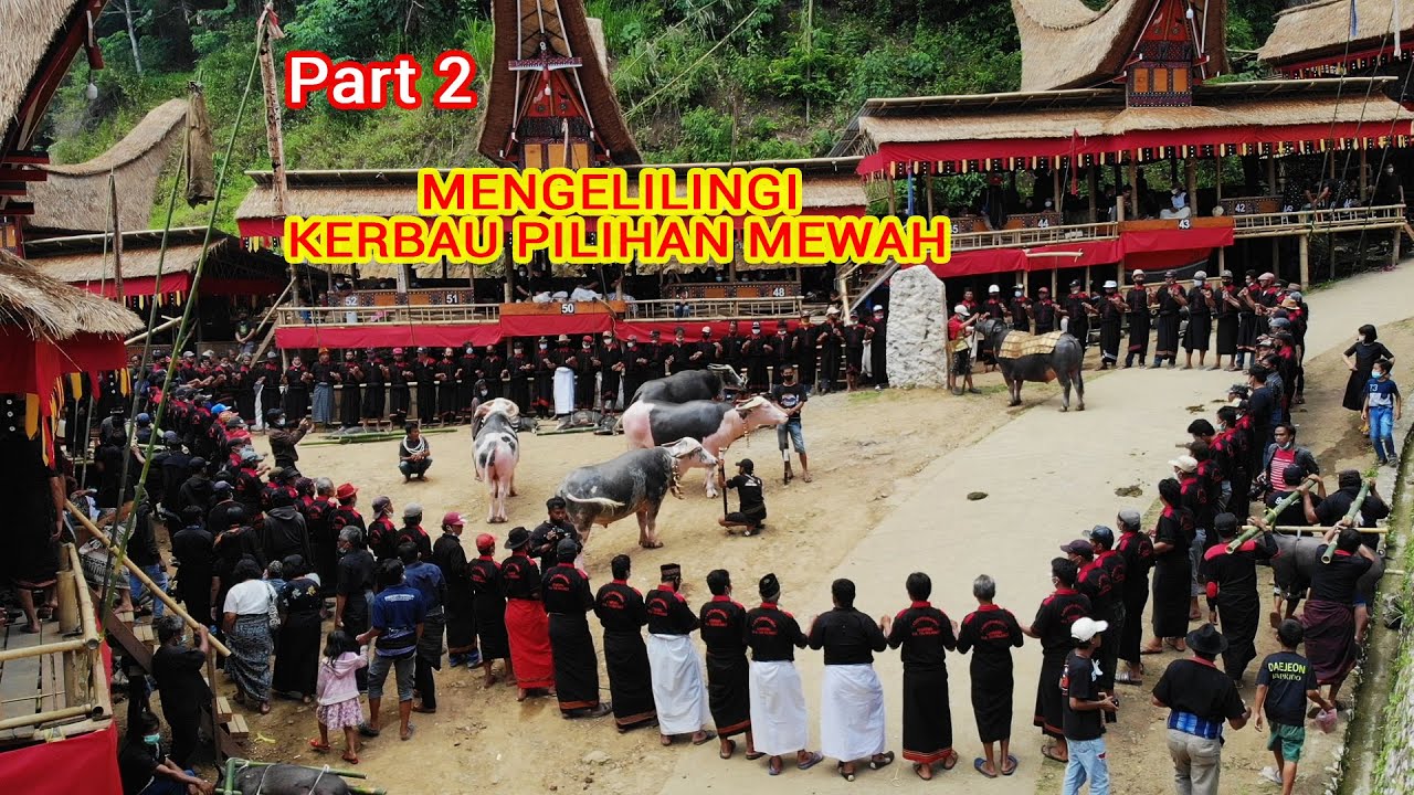 Menerima tamu upacara adat Rambu Solo Toraja