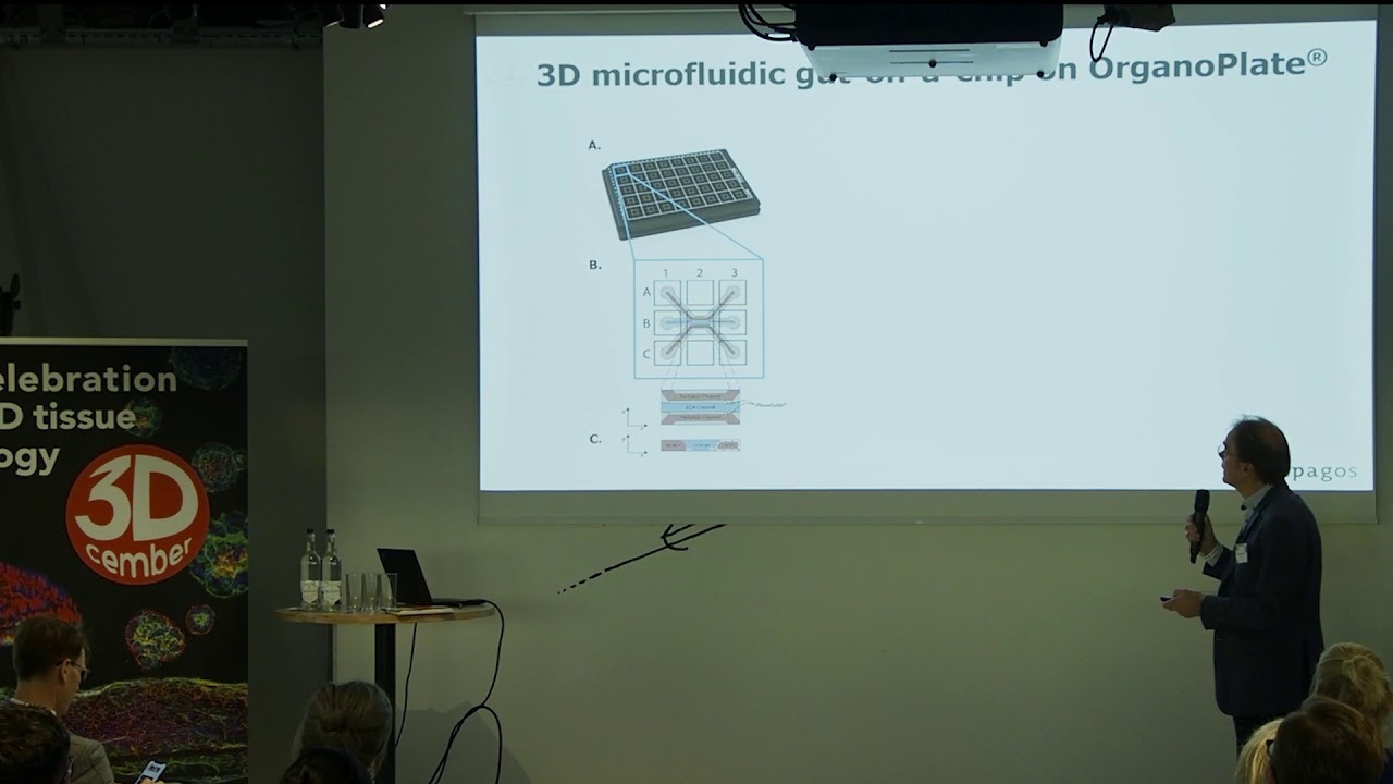 Richard Janssen (3D-cember 2019 Amsterdam)