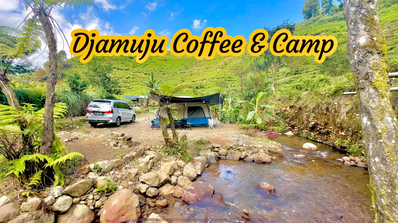 Djamuju Coffee & Camp | Tempat Camping Favorite di Ciwidey Bandung Jawa Barat | Review Terbaru ‼️
