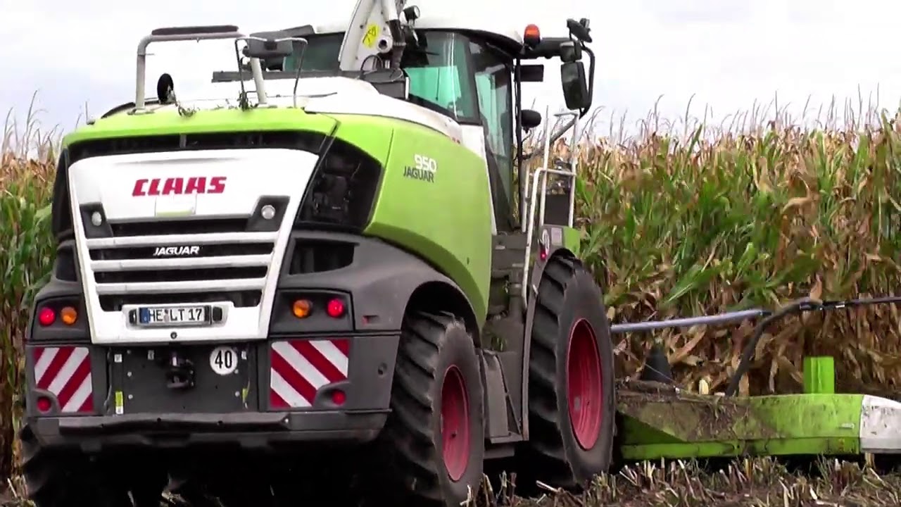 Maishäckseln 2020 mit Claas Jaguar 950 u. Claas Orbis 750