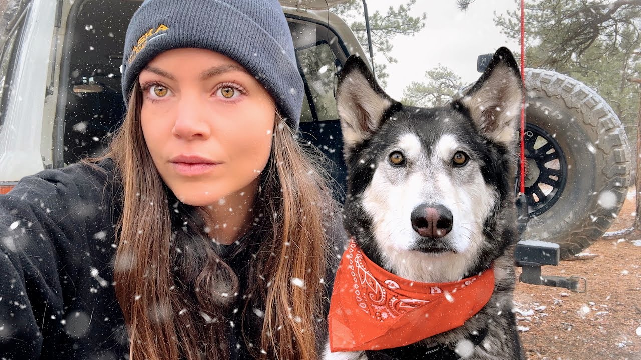 solo winter camping with my wolfdog (cold and alone)