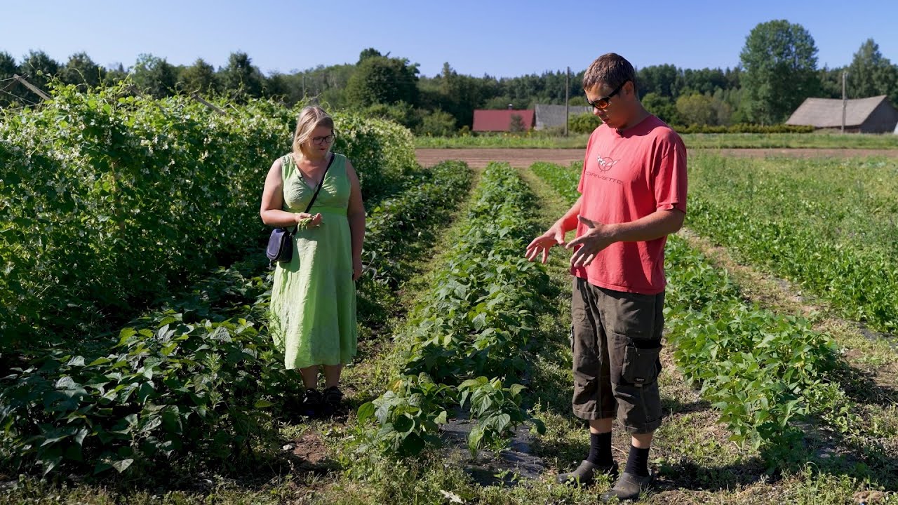 BioAgri plēve, pieredze ZS 
