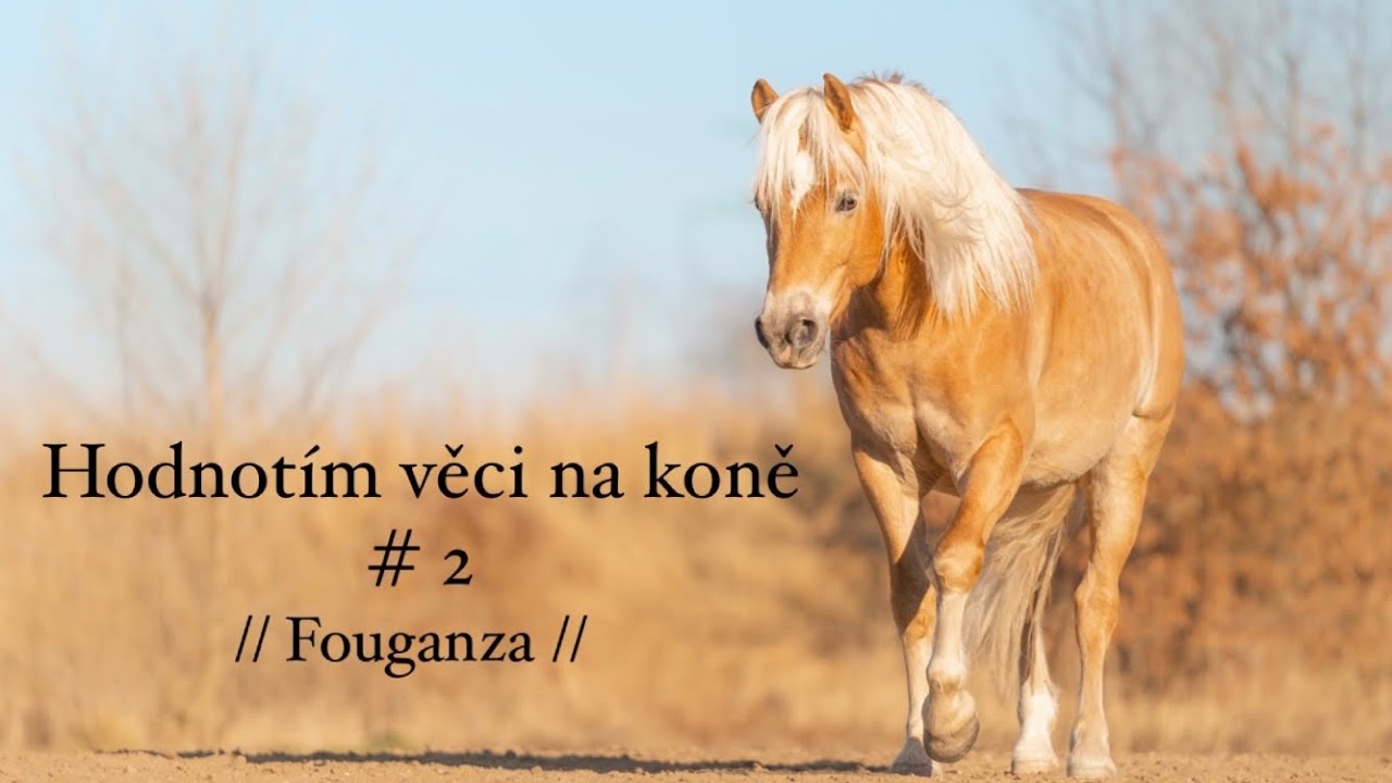 Hodnotím věci na koně #2 // Fouganza // letní rajtky, uzdečka