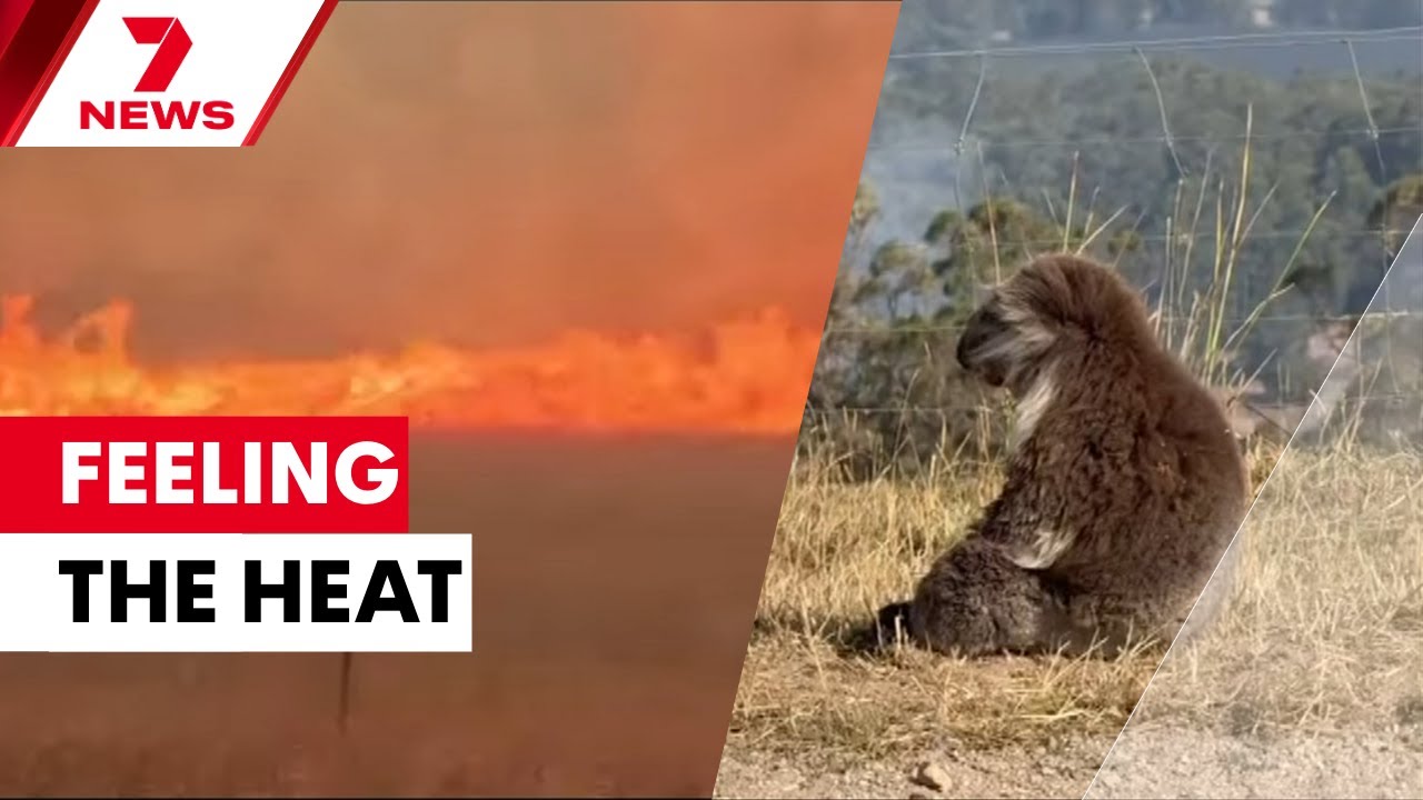 Victoria's summer scorcher: 16 more structures lost and 100,000 without power | 7NEWS