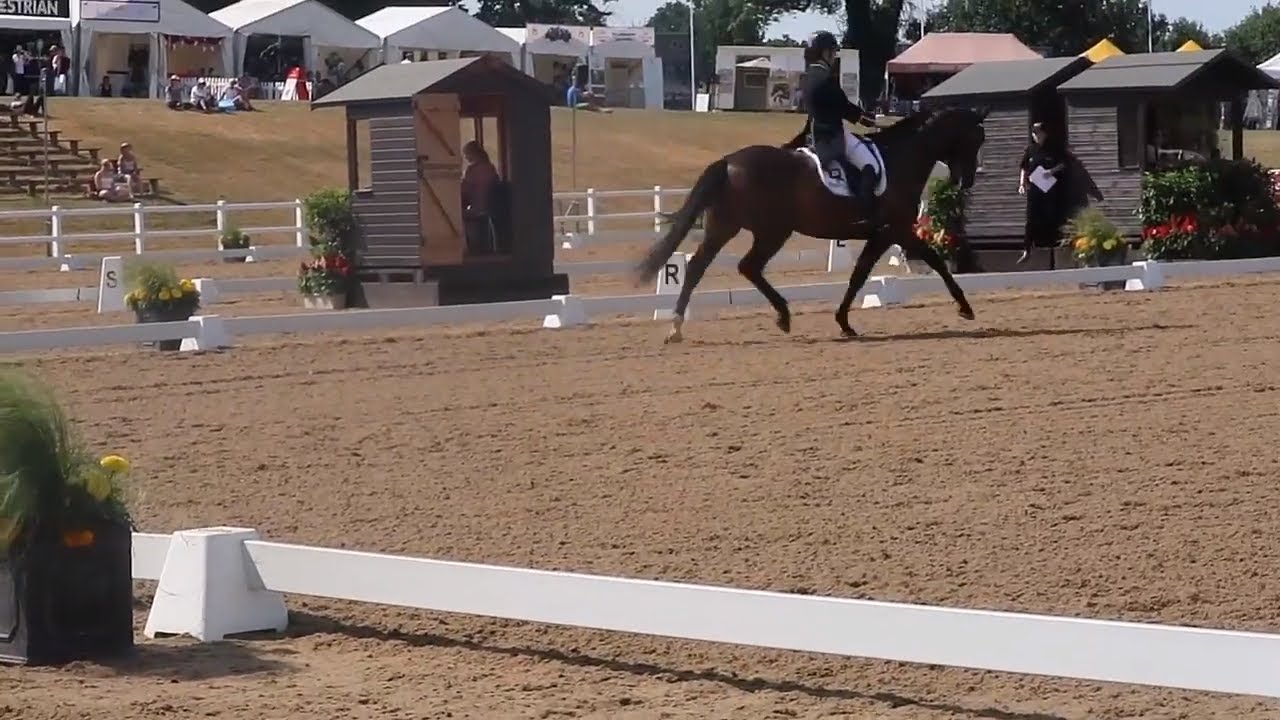 HARTPURY FESTIVAL OF DRESSAGE 2018 PART 2 | OTD VLOG