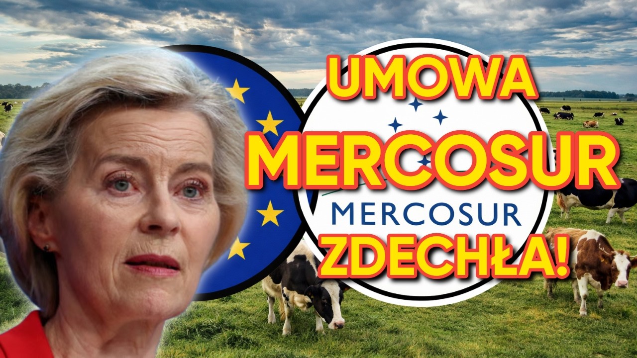 Niemcy w SZOKU! Trump ROZBIJA Mercosur i ratuje polskie rolnictwo?