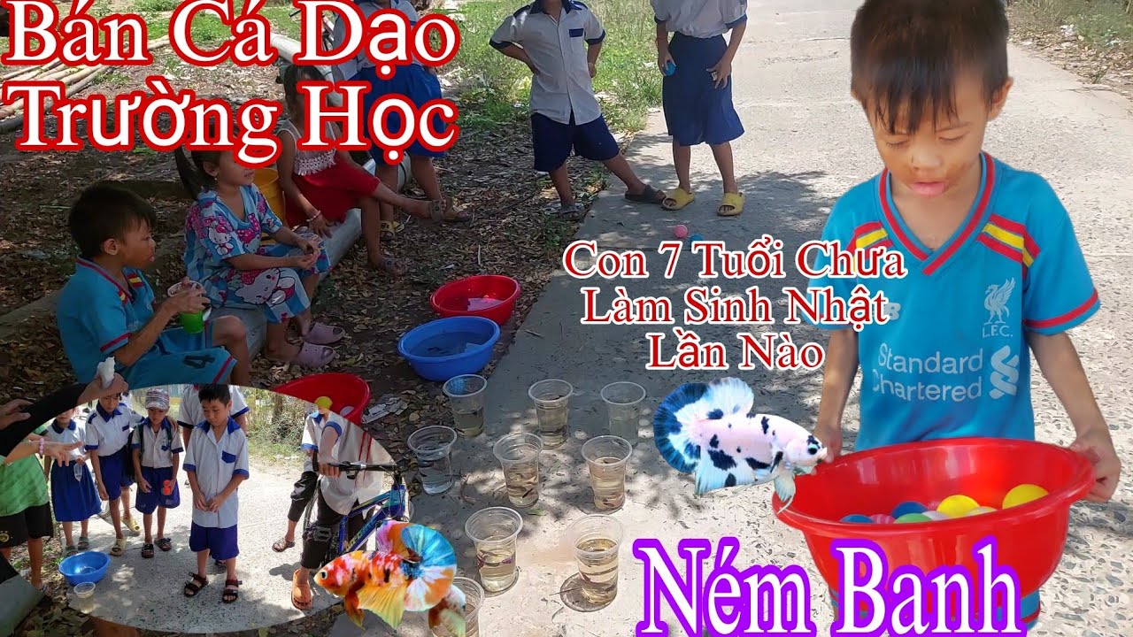 Đi Bán Cá Betta Dạo Ném Banh Trúng Cá Quyên Góp Làm Sinh Nhật Cho Bé Phỏng