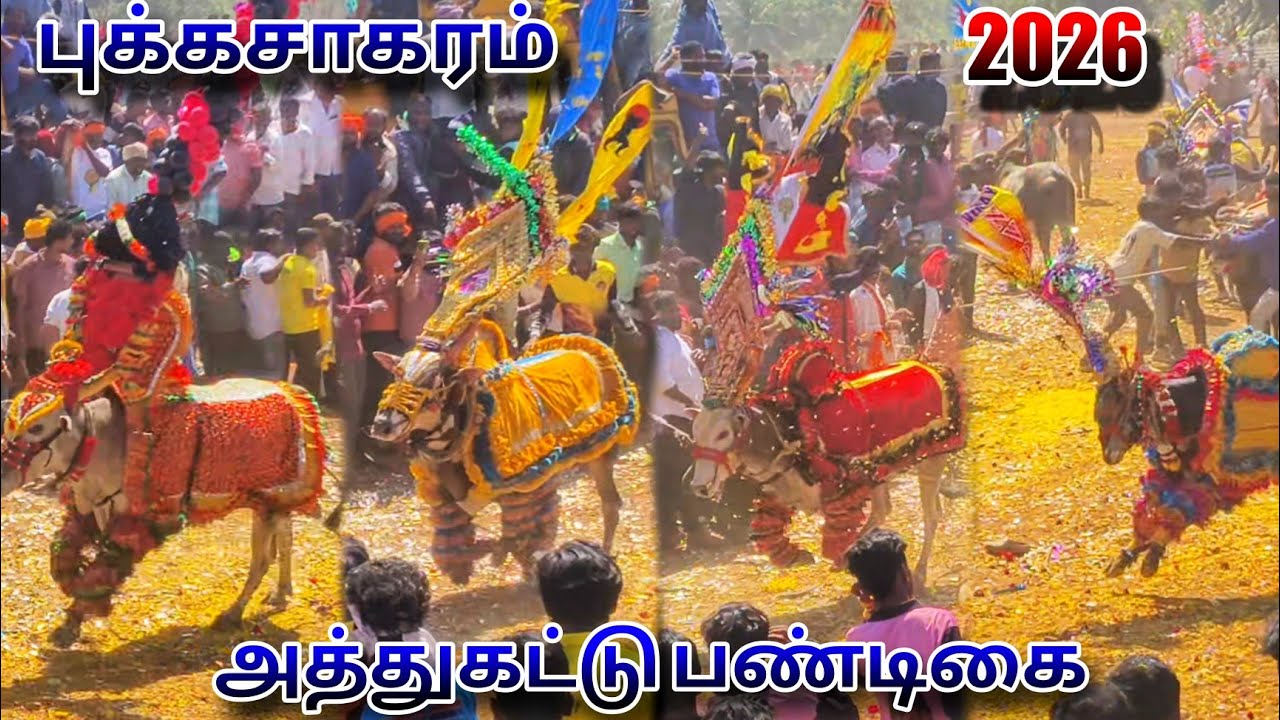 புக்கசாகரம் அத்துகட்டு பண்டிகை 🔥//Bull Festival Mass💥#trending #bull #vlog #athu #jallikattu 