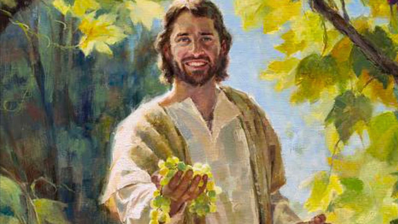 “Yo soy la vid verdadera”. Lectio de Juan 15,1-8