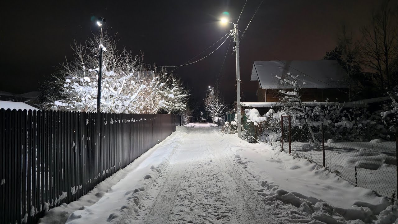 Зимние леса - Московская обл, округ Красногорск, СНТСН Земля