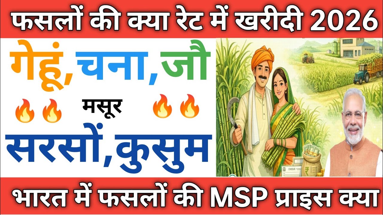 What is the price of wheat, gram, lentil, mustard, barley, safflower crops purchased in 2026 || W...