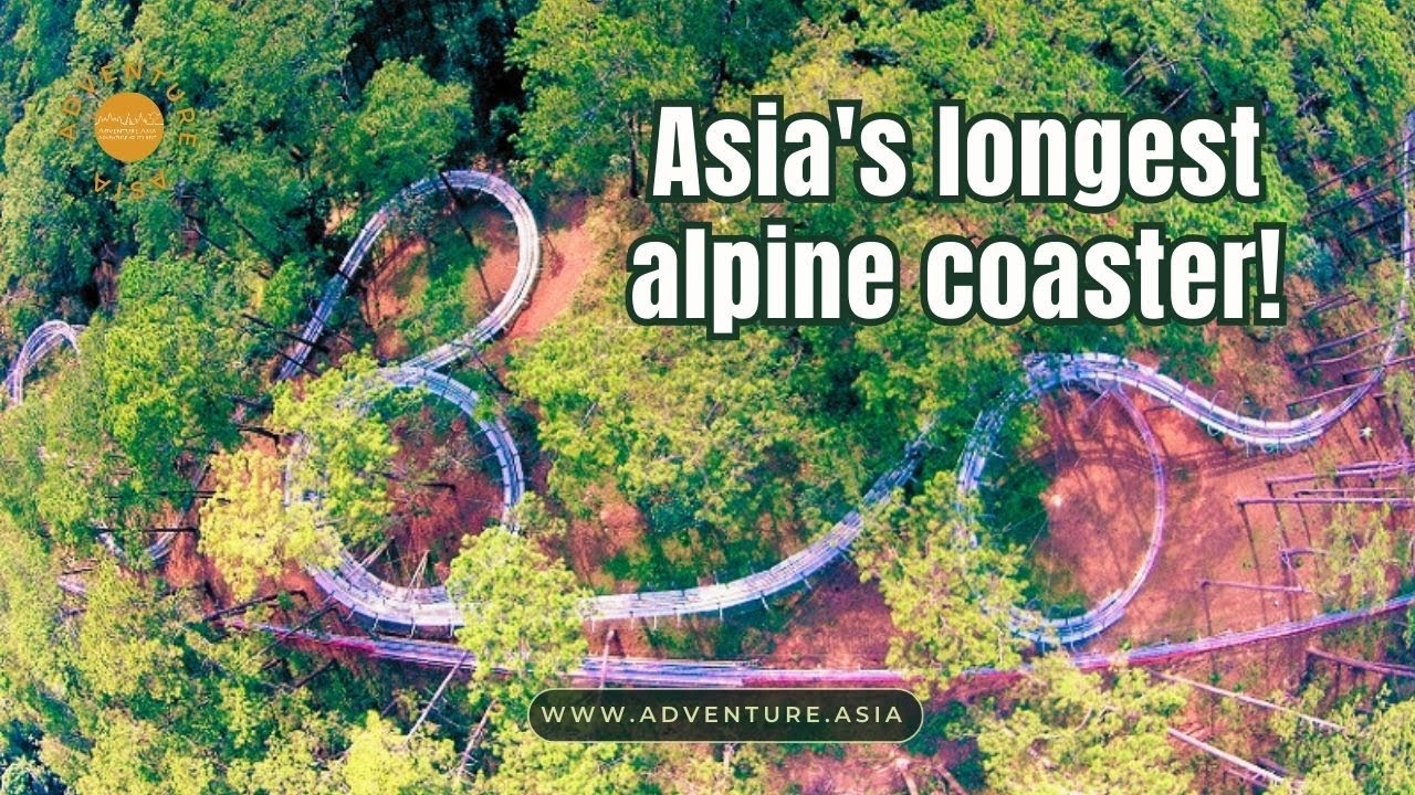 🎢 Roller coaster to hidden lush forest | Vietnam's Dalat