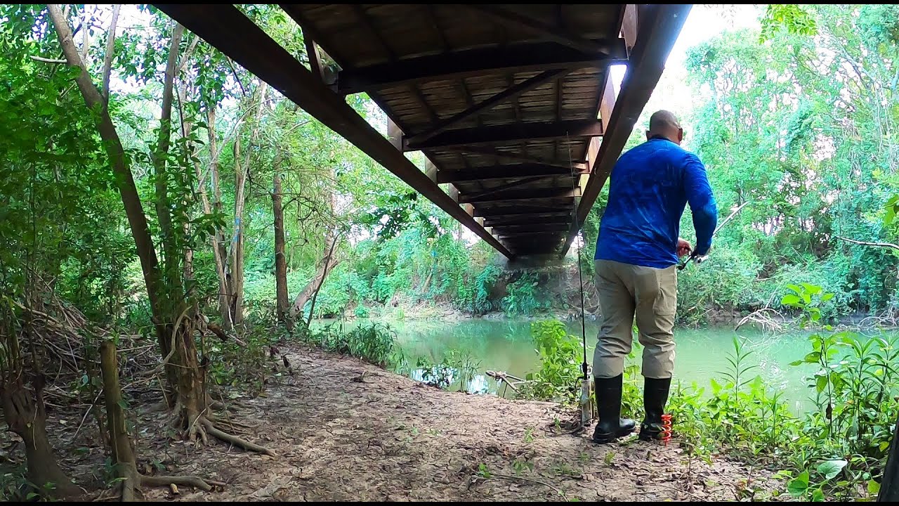 Getting eaten ALIVE by mosquitoes to catch these fish