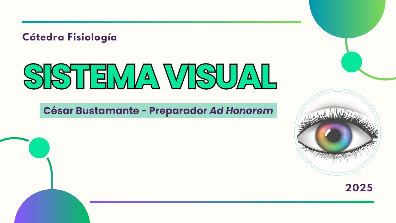 Neurofisiología: Sistema Visual / Cesar Bustamante