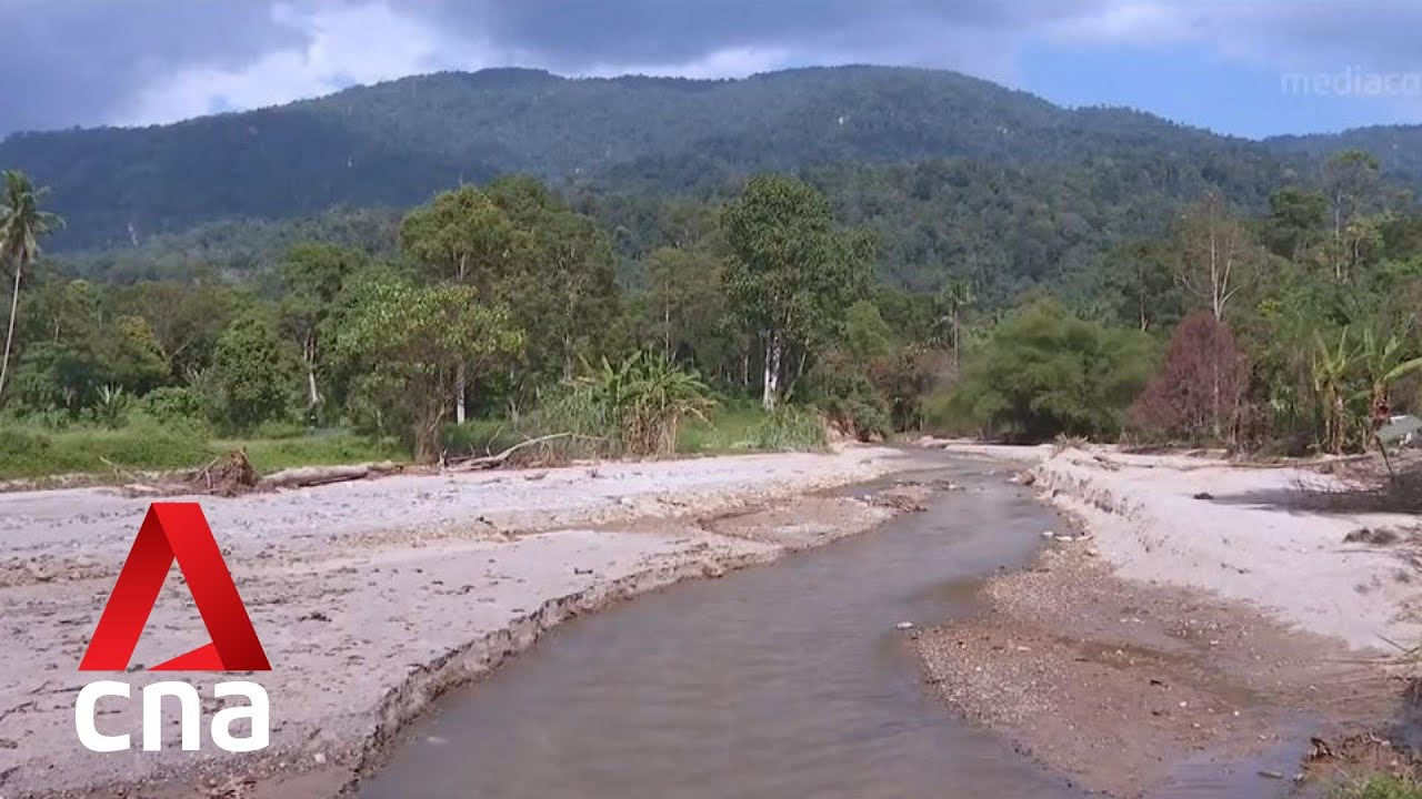 Activists in Malaysia call for 25-year logging moratorium to safeguard against climate change