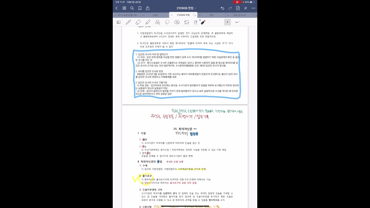 입건전조사 피의자신문