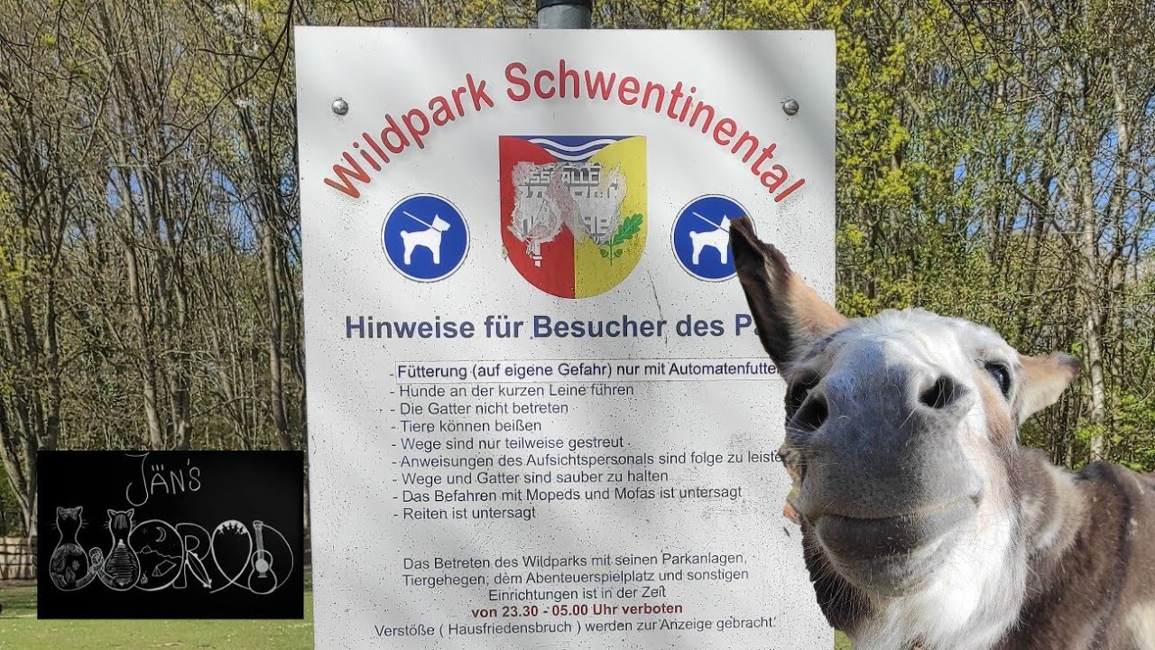Wildpark Schwentinental | ein Tierpark bei Kiel, der keinen Eintritt kostet!