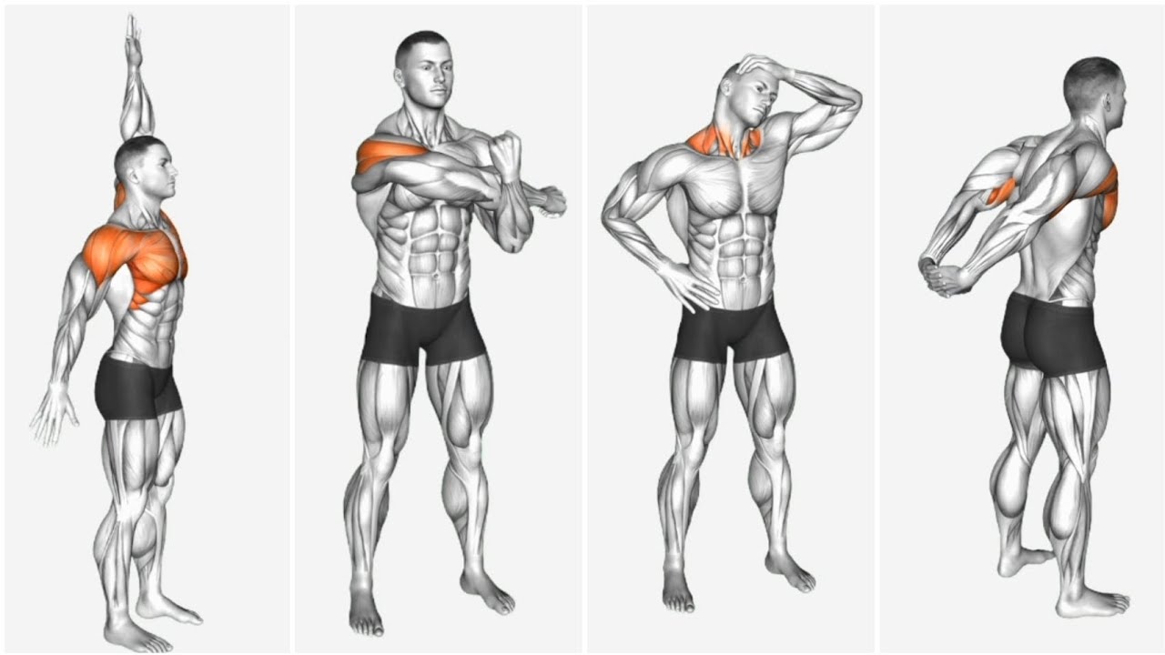 Start Your Day Right Morning Warm-Up Stretch Exercise Feel Fresh All Day with These Morning Stretch