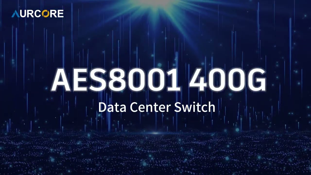 AurCore AES8001 400G Data Center Switch