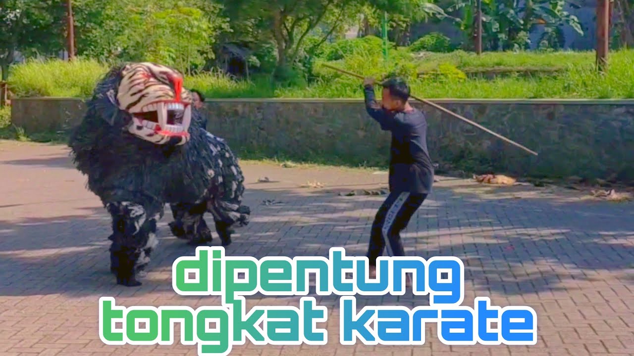 kumpulan aksi aksi barongan can macanan singo otrahum