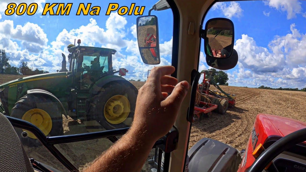 Ponad 200 ha Zasiane Rzepaku! Pasowo W Tym Roku Mniej